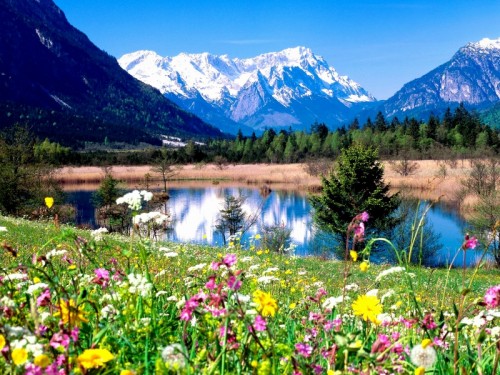 Beautiful Free Spring Wallpapers for your Desktop SmashingCage