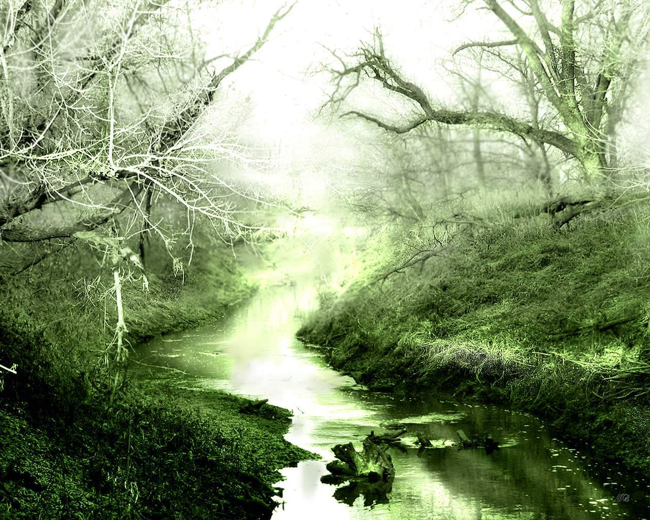 River In Forest Wallpaper
