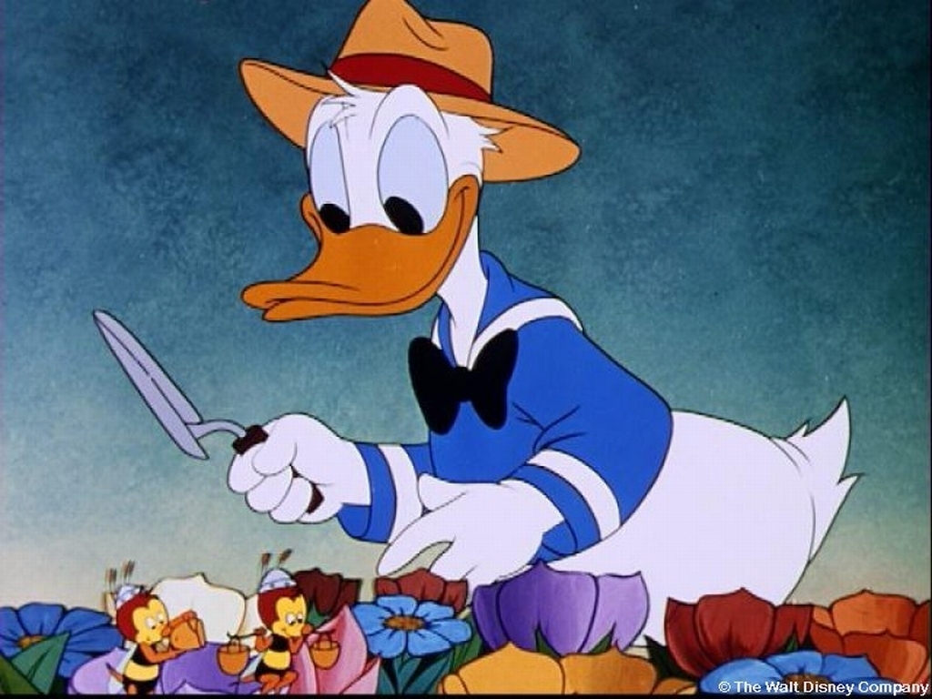 Donald Duck Wallpaper