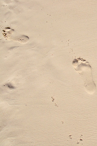 Footprints in the sand iPhone 4 Wallpaper 640x960 Flickr   Photo