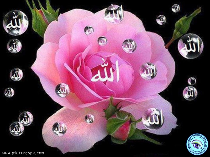 Beautiful Allah Name Wallpaper Picture In