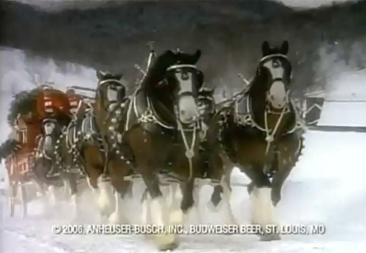 Budweiser Clydesdales Christmas Wallpaper