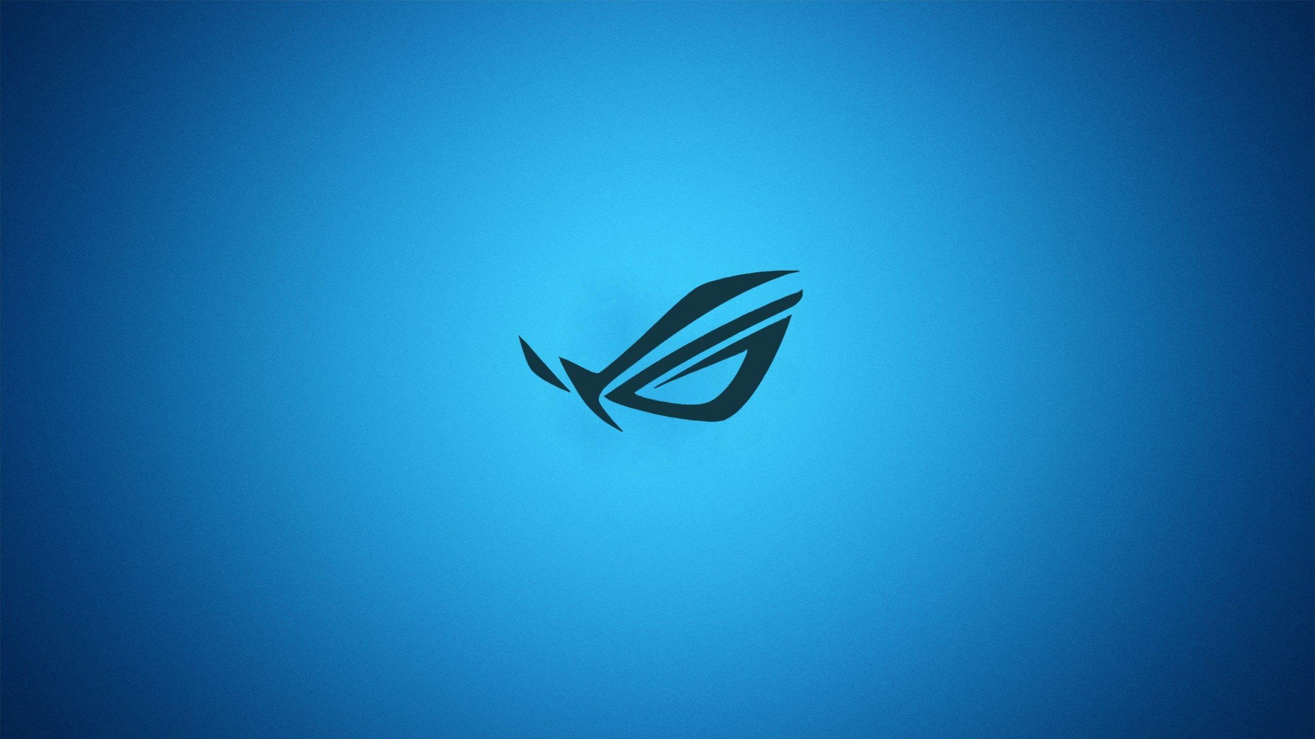 blue minimalistic asus gradient logos republic of gamers 2560x1440