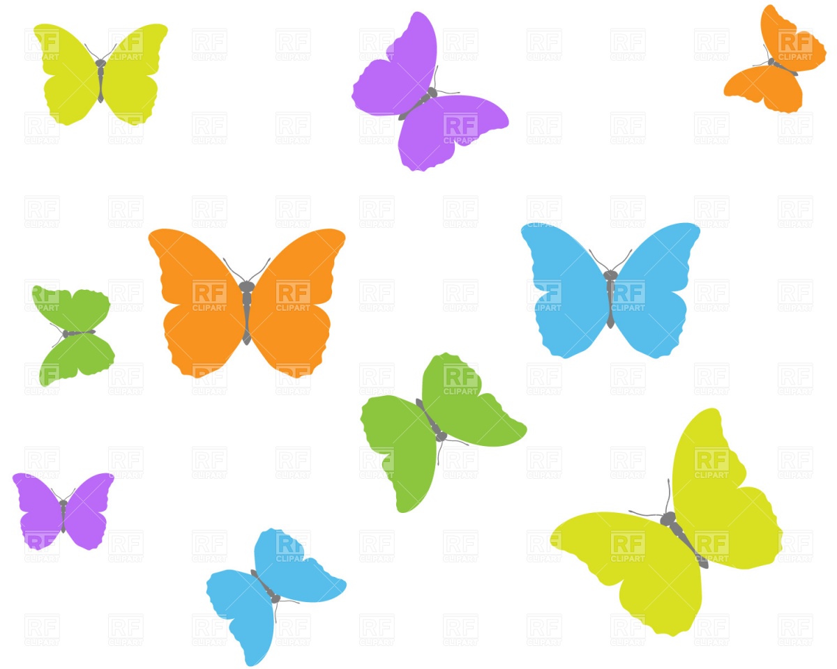 Butterfly Background Vector Image Artwork Of
