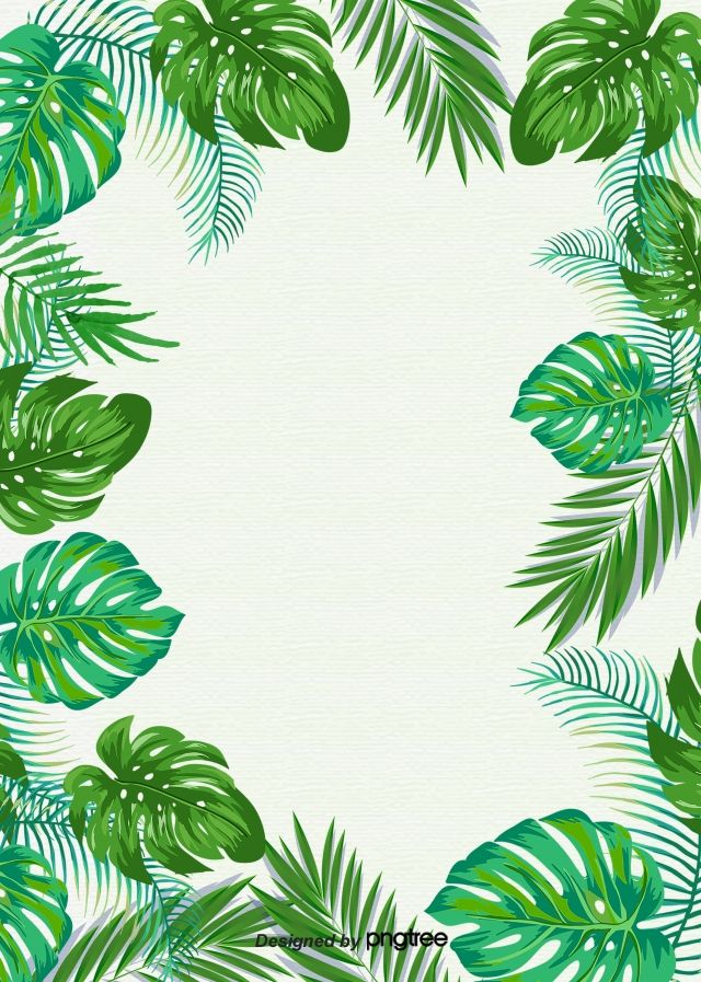 Simple Background Of Tropical Green Plants