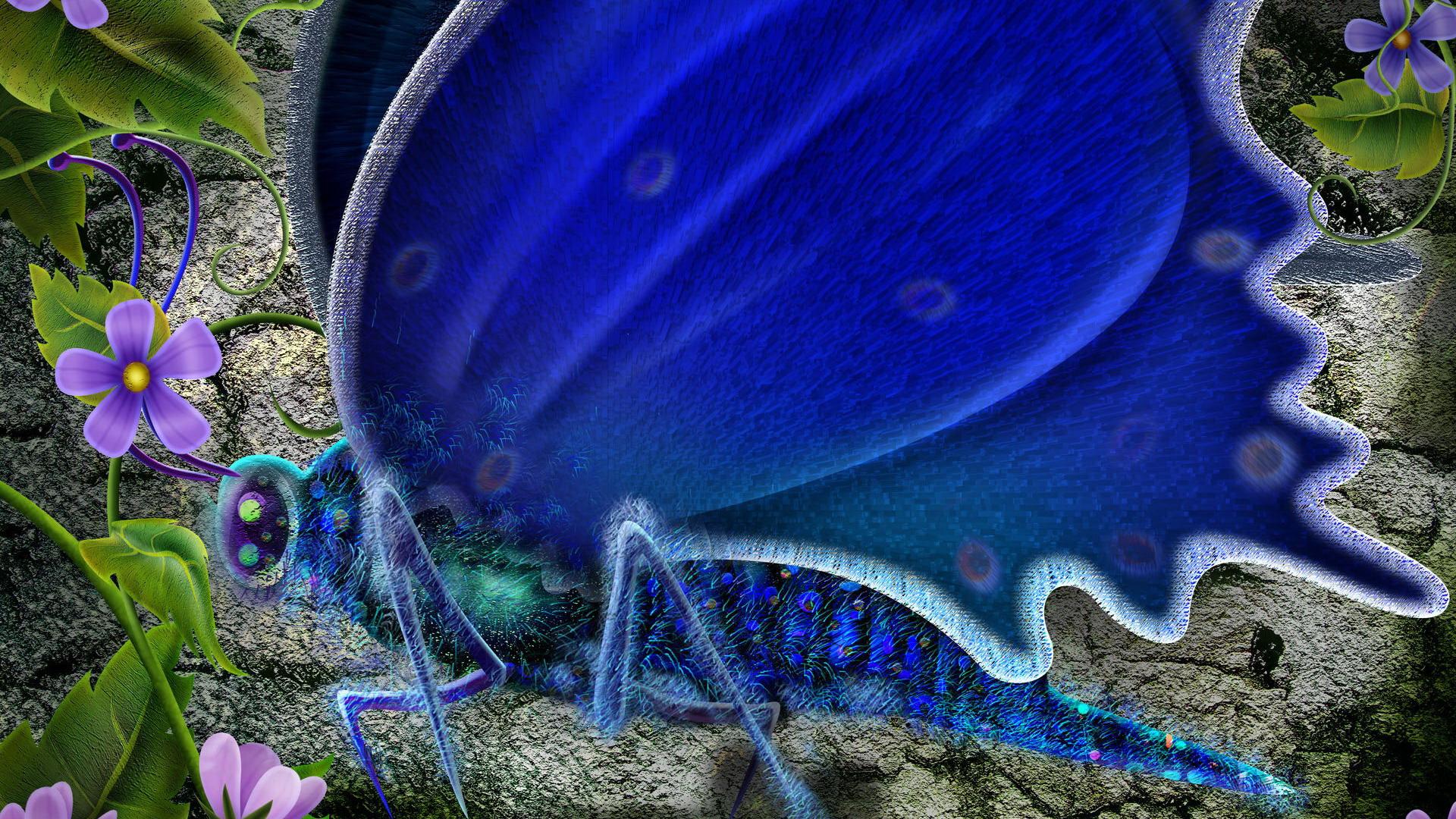 Cute Blue Butterfly Wallpaper Unique HD