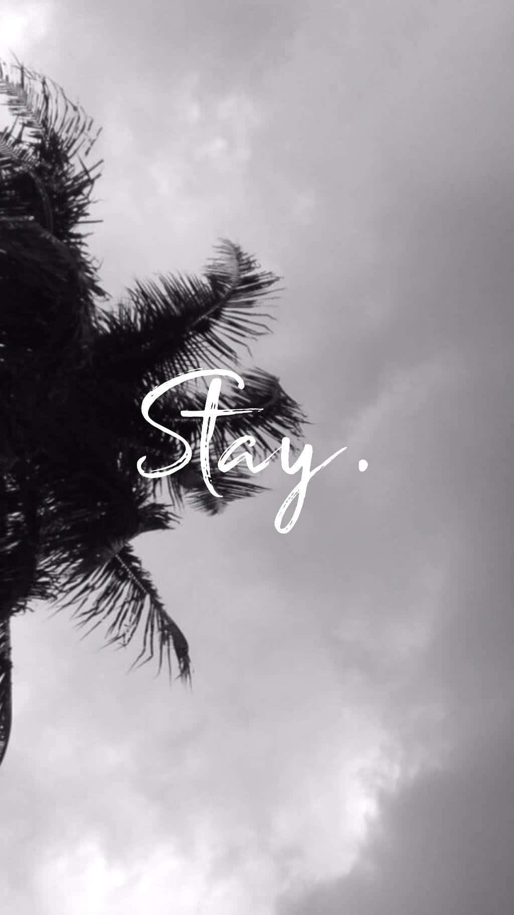 Photography iPhone Wallpaper