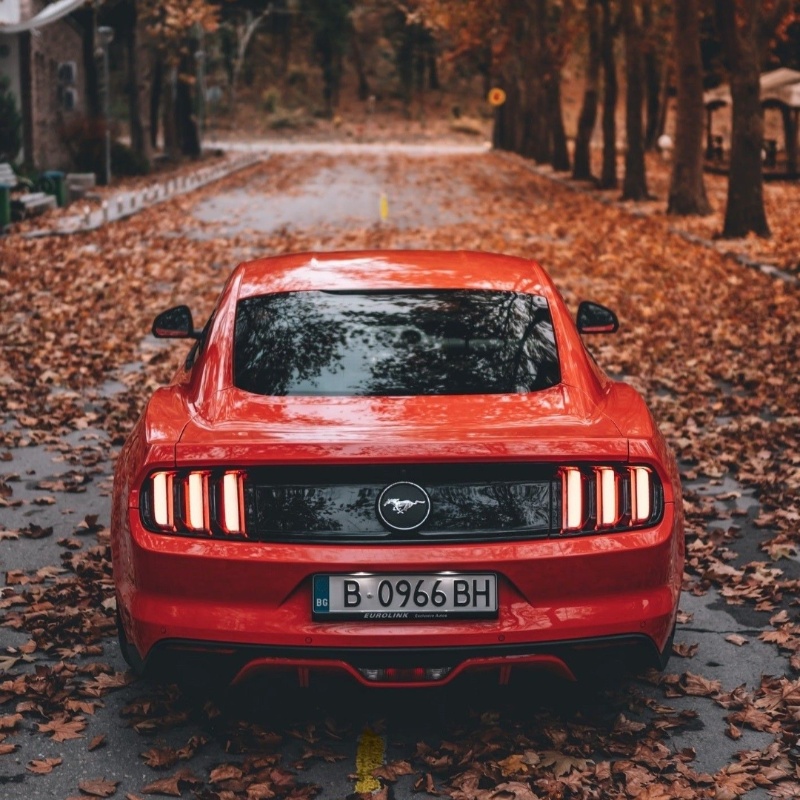 Cars Pfp Wallpaper