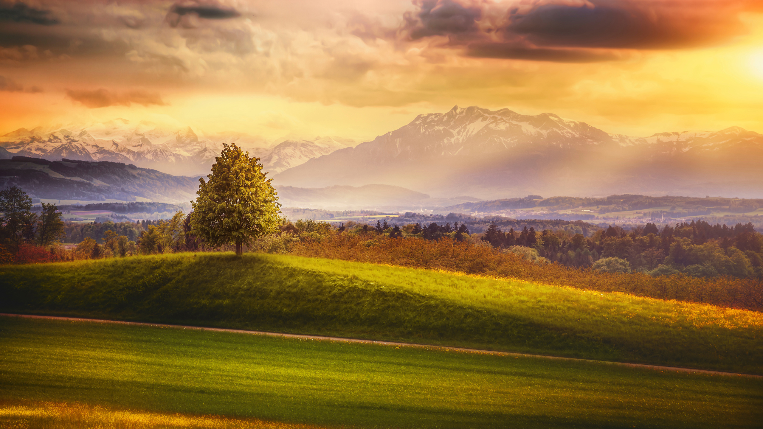 Picture Switzerland HDr Nature Mountain Sky Fields Wallpaper