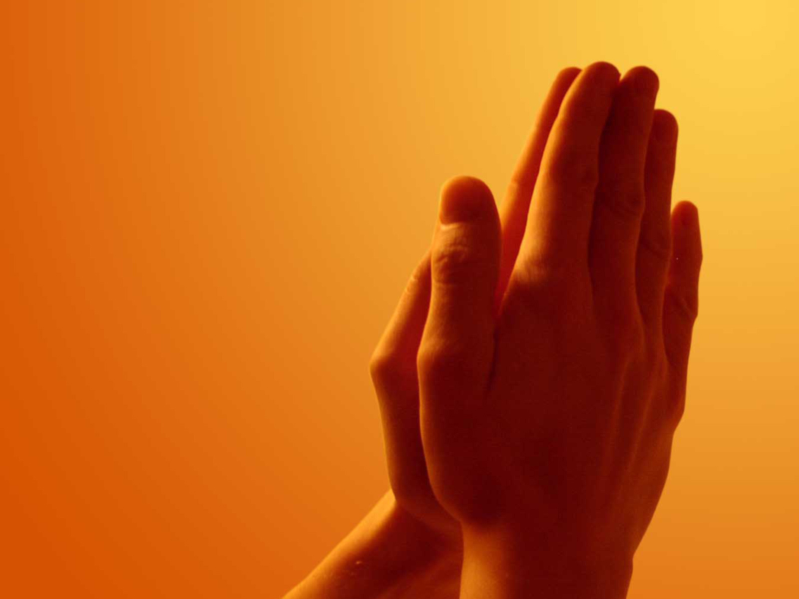 Praying Hands Puter Desktop Wallpaper