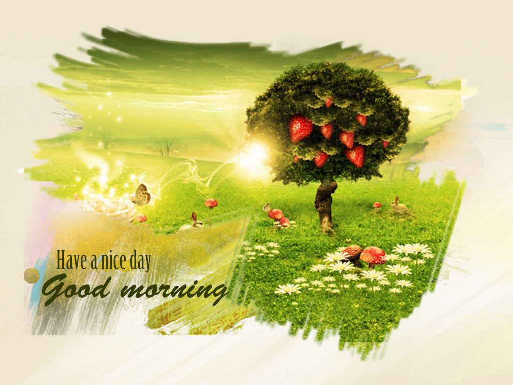 Good Morning Have A Nice Day HD Wallpaper Daily Pics Update