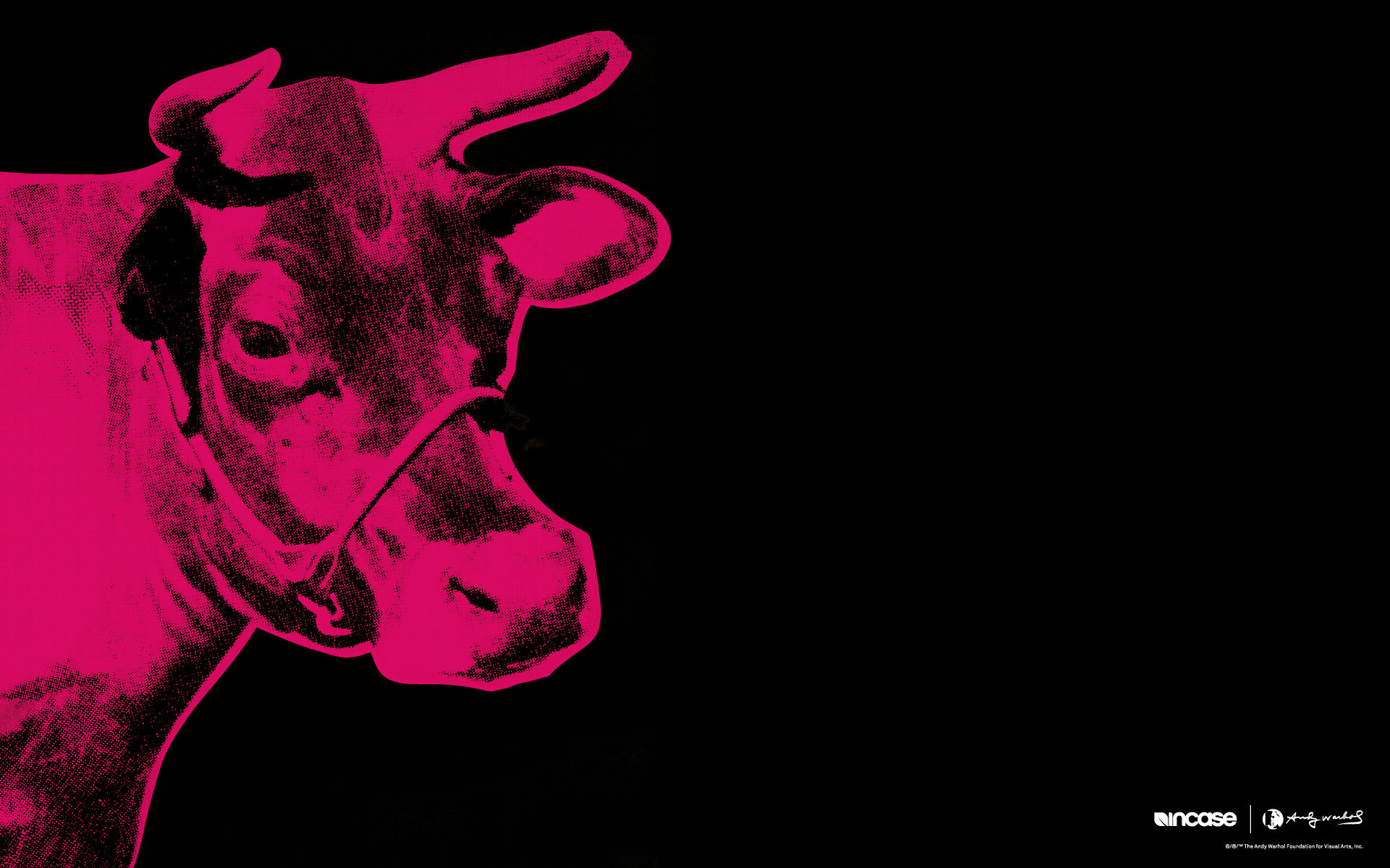 The Painting Of Andy Warhol Red Cow On Black Background Wallpaper And