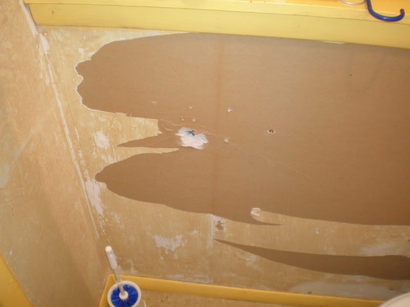 Free download Removed Wallpaper Drywall Paper Face Ripped Right Off