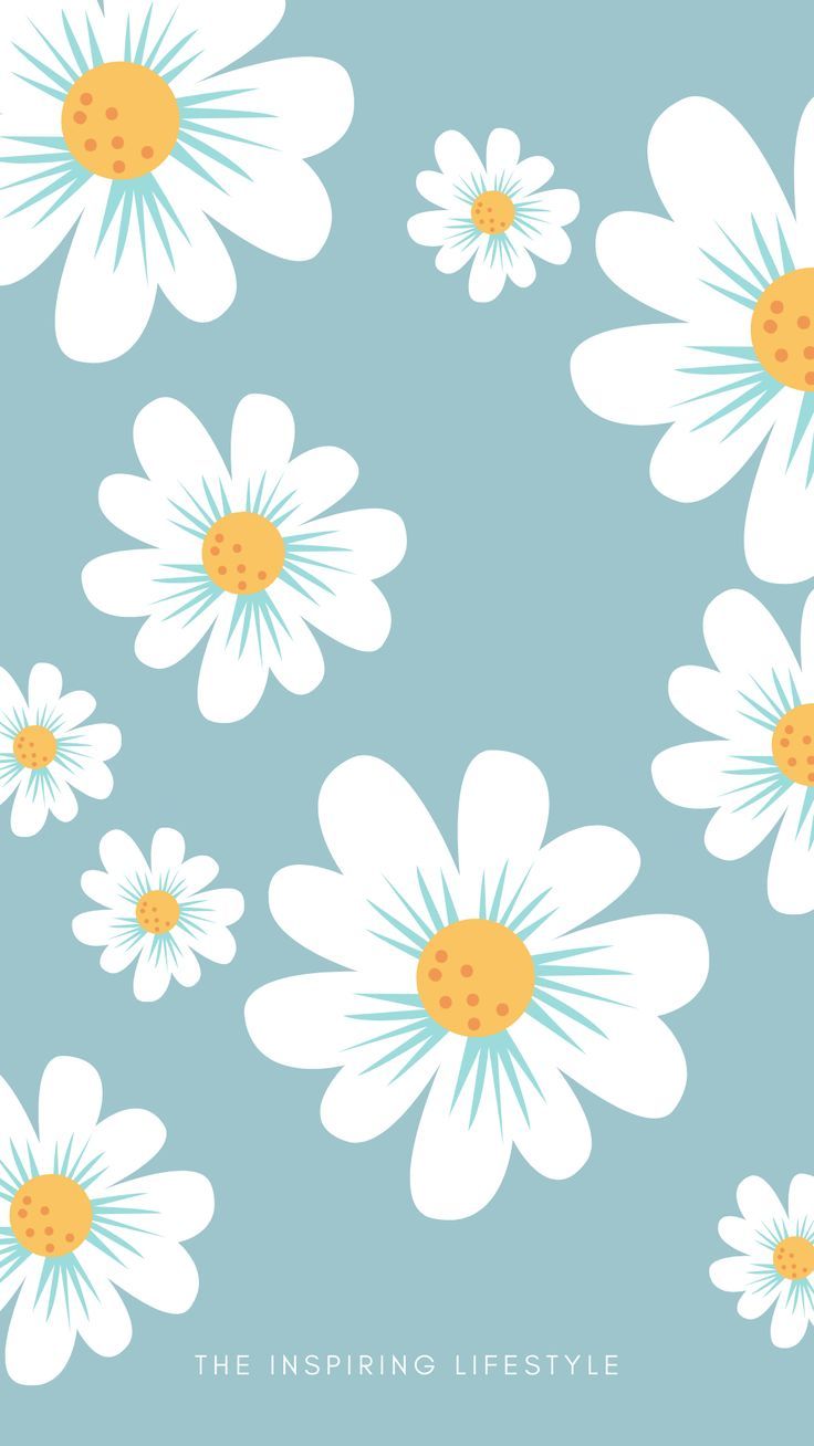 Cutest Flowers Wallpaper In Blue Cute Flower Daisy