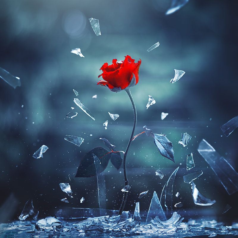 Love Shall Overe By Arefin03 Magical Image Art Disney