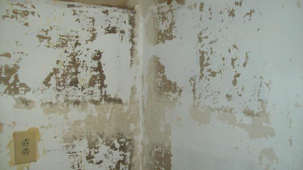Pic How The Walls Look Like After Removing Wallpaper