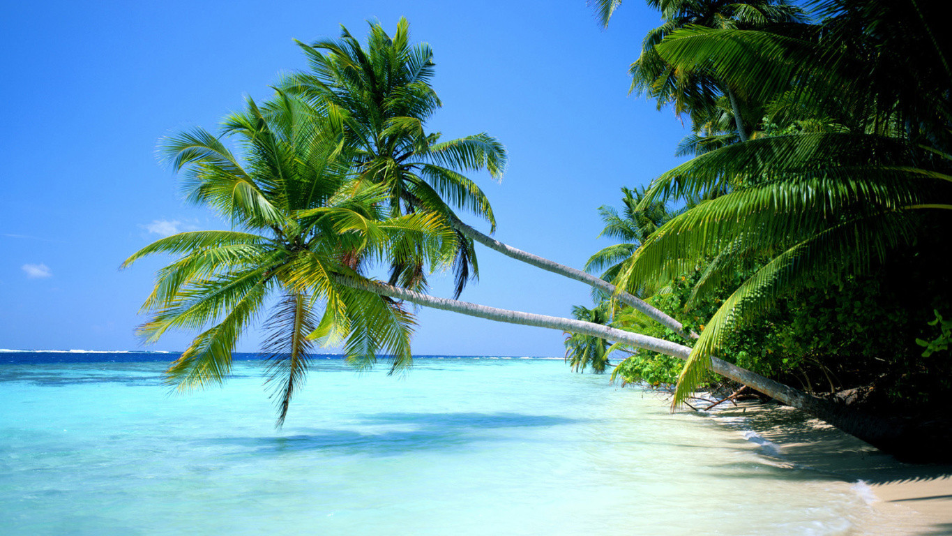 Tropical Beach Desktop Wallpaper Sf
