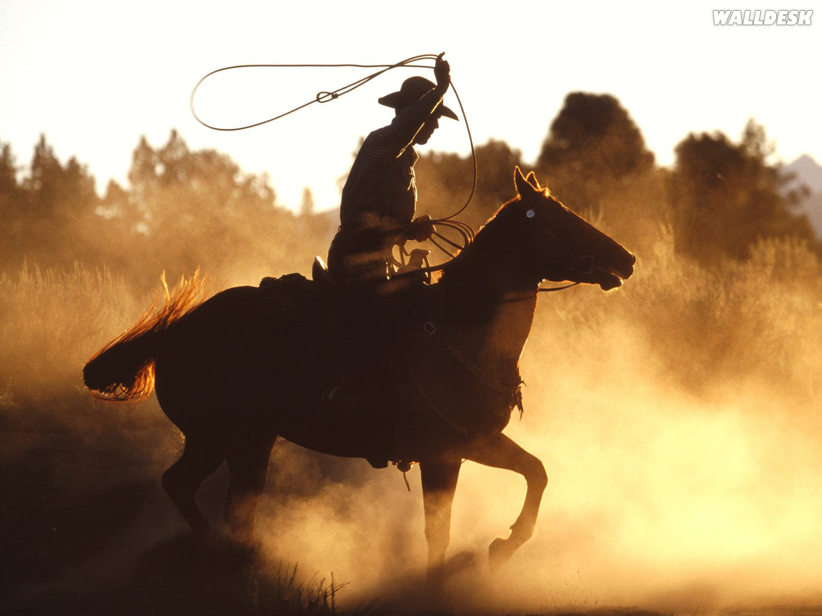 Western Glory Pap Is De Parede Cowboys Fotos Imagens E Wallpaper