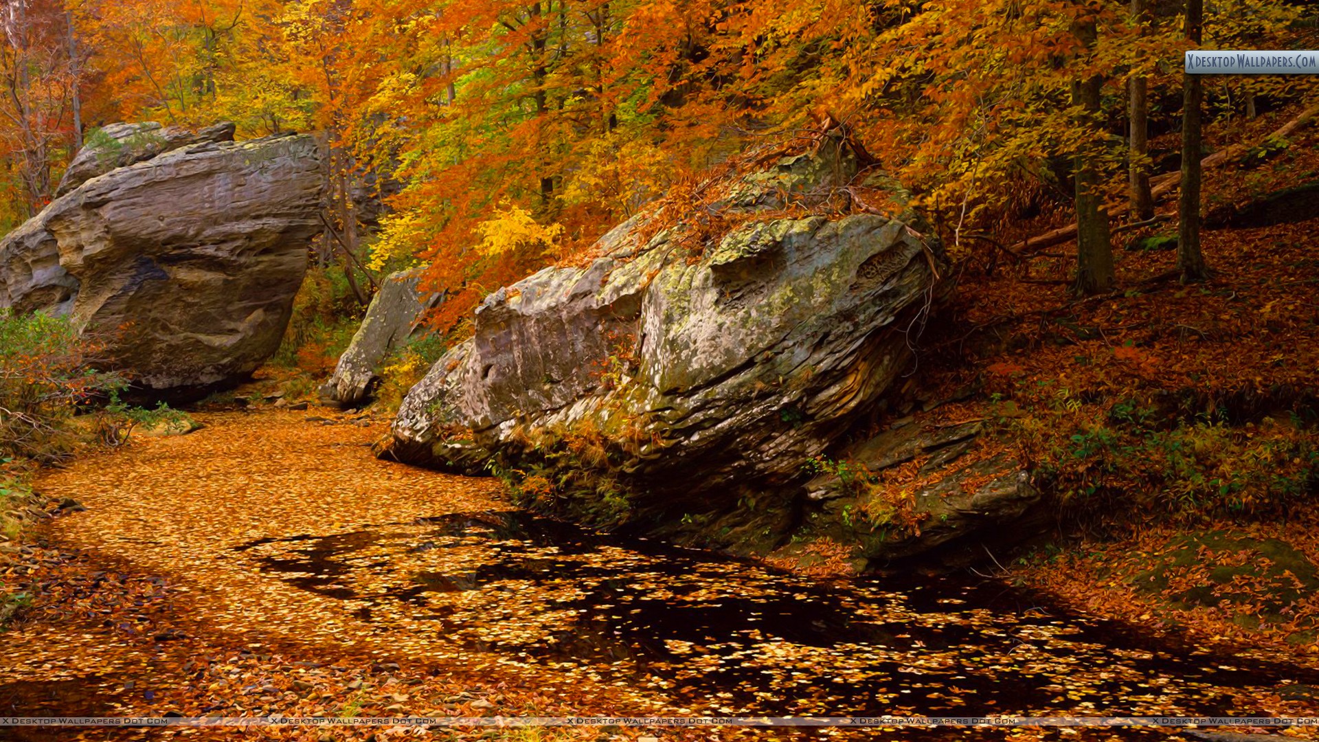 Smith Springs Recreation Area Shawnee National Forest Wallpaper