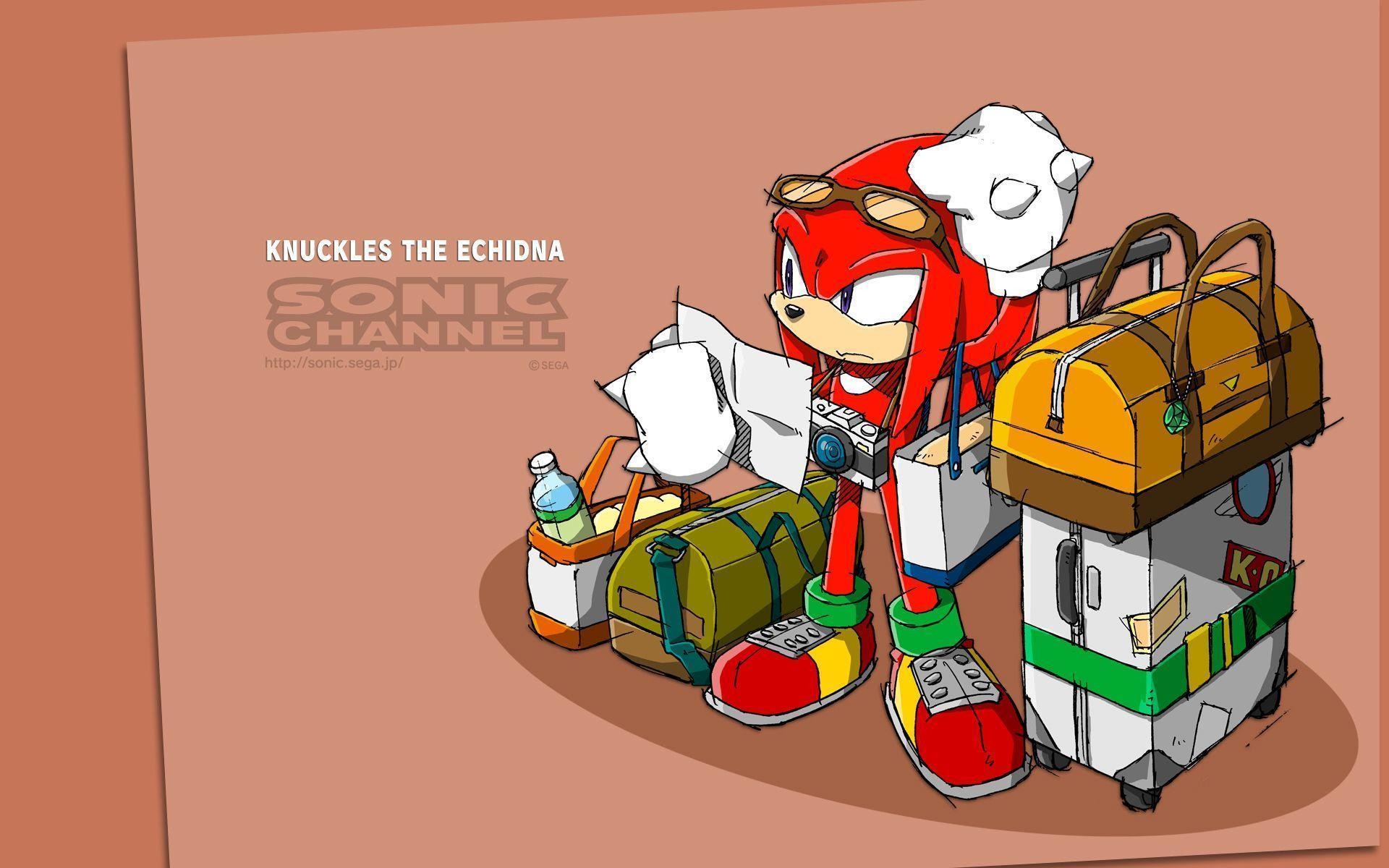 Knuckles The Echidna Wallpaper