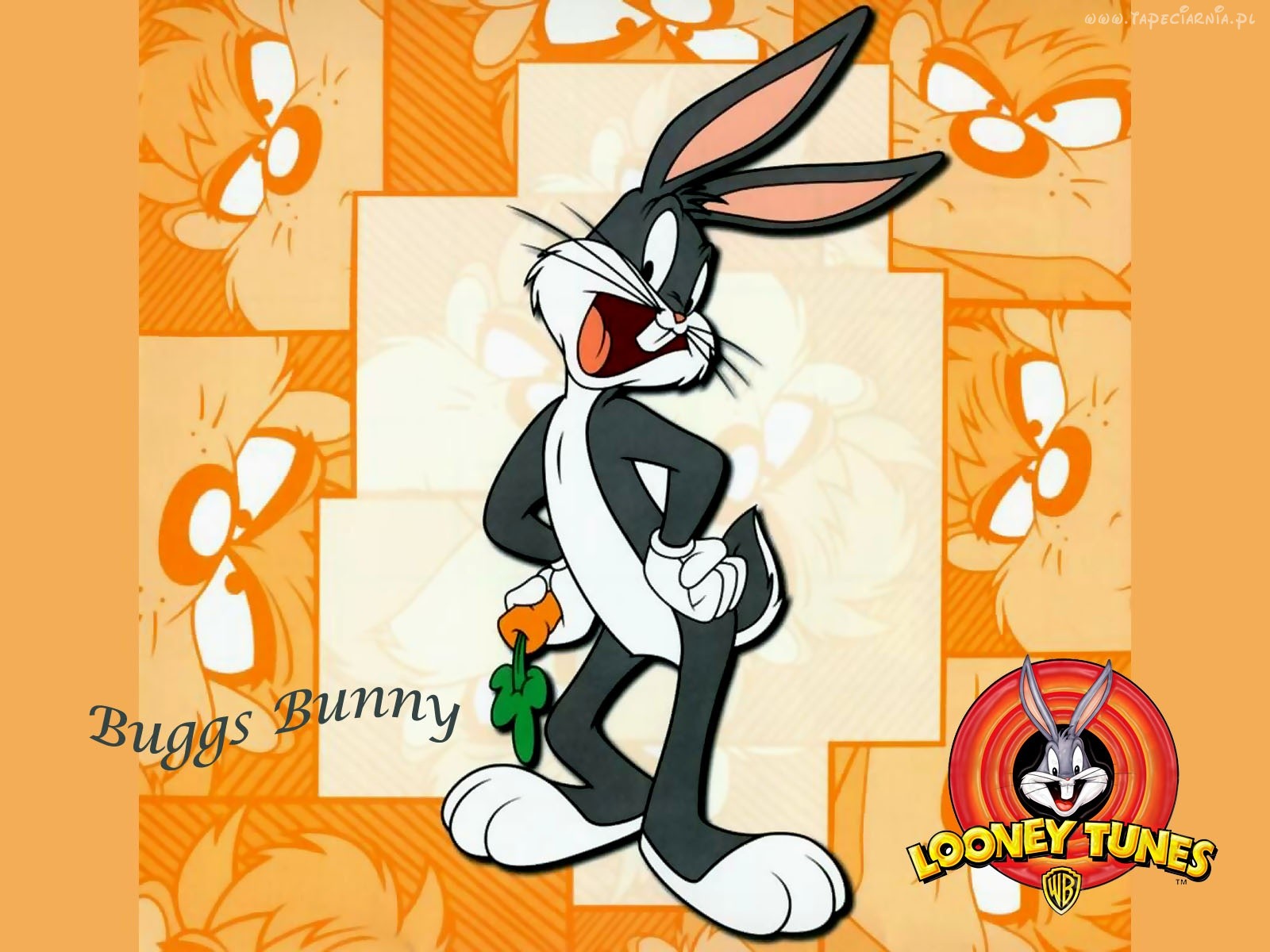 Looney Tunes Krolik Buggs HD Wallpaper Image For iPad Mini