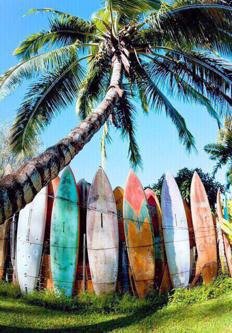 Surfboard Background Posted By John Peltier