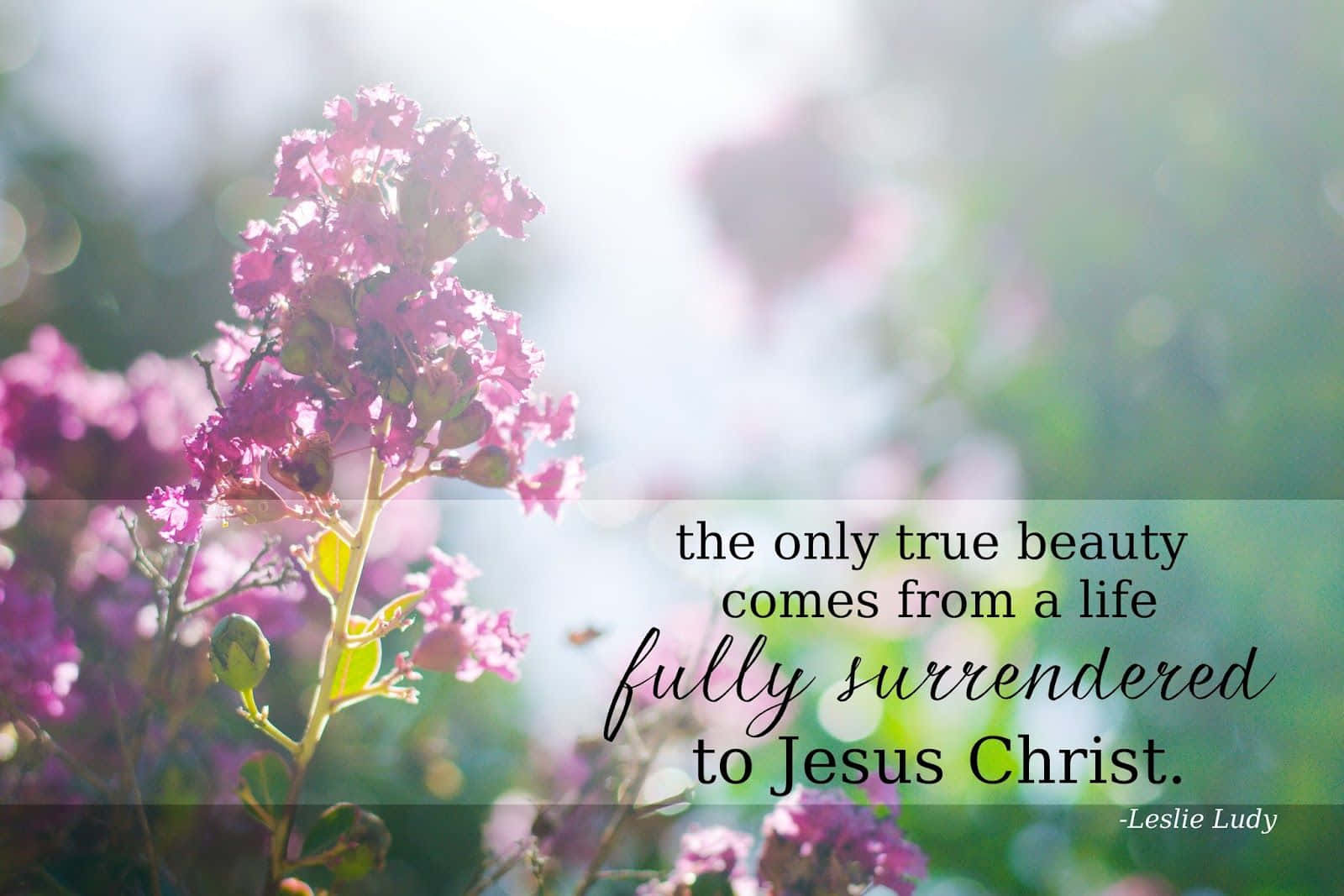 Christian Quotes Wallpaper