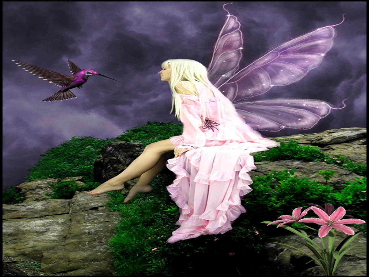 Hummingbird   pink fairy Wallpapers   HD Wallpapers 96125