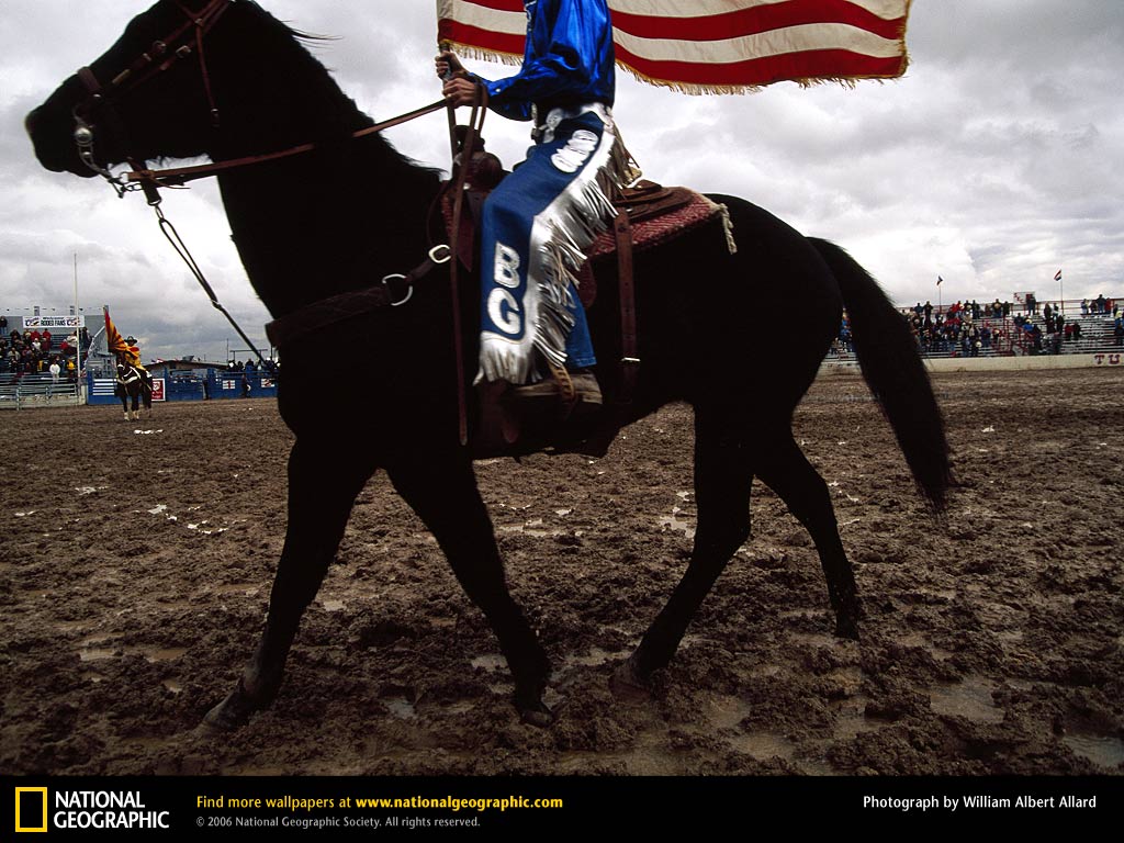 Rodeo Rider Photo Of The Day Picture Photography Wallpaper
