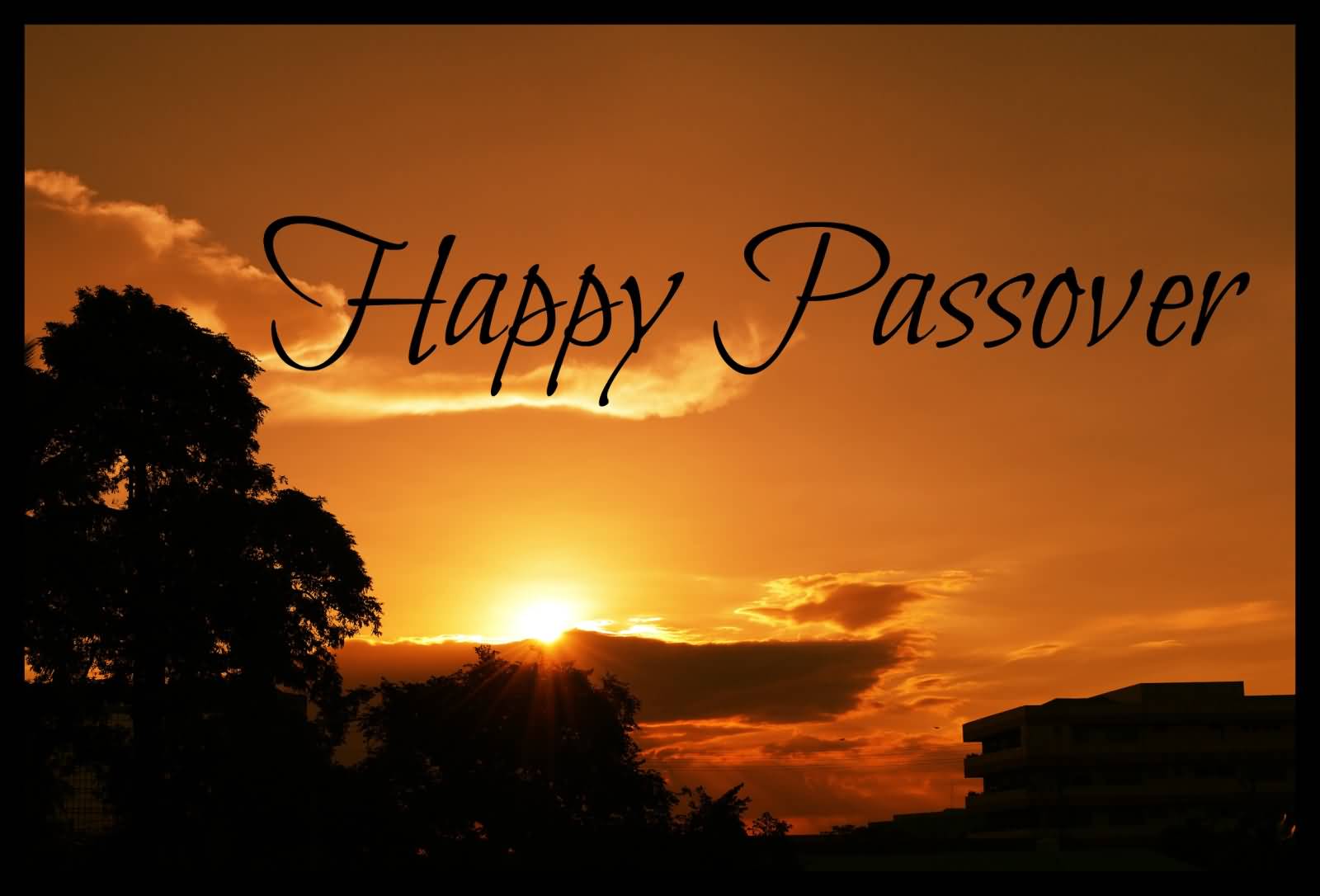 Happy Passover Image Pictures Photos HD Wallpaper