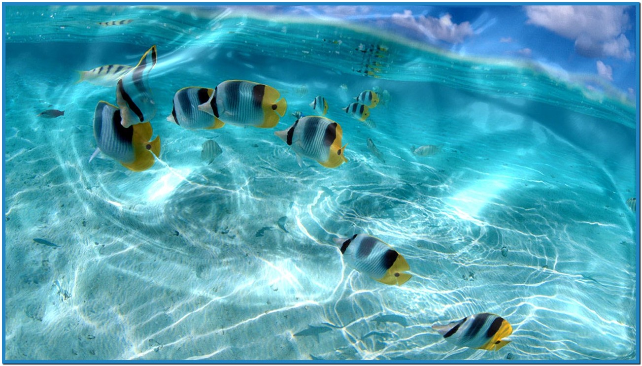 Live Screensavers And Wallpaper