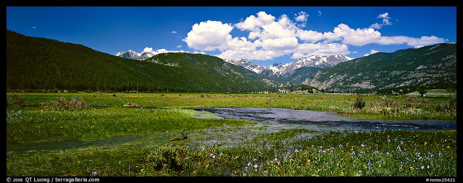 Summer Wildflowers And Stream In Mountain Meadow Rocky