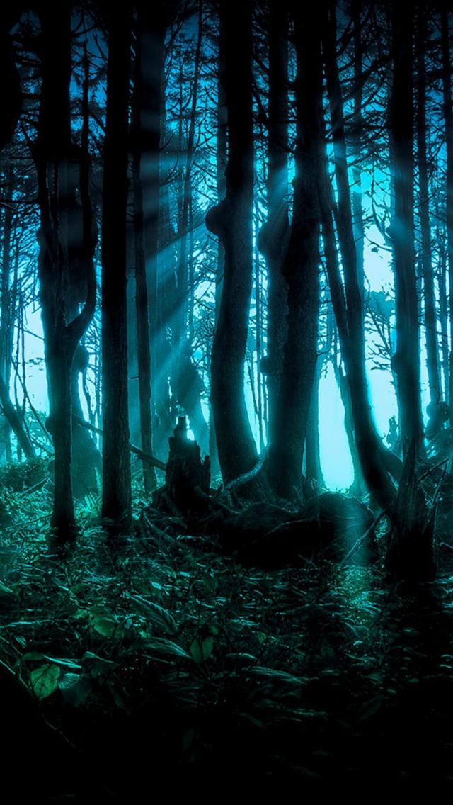 iPhone Wallpaper HD Dark Forest And Sunshine