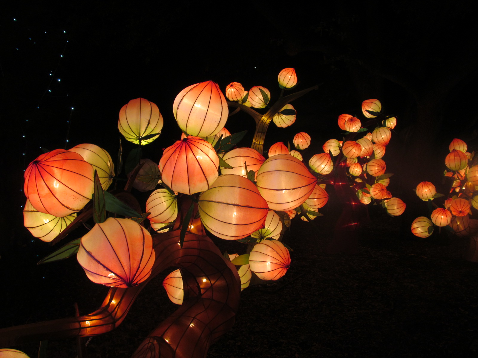 Chinese Lantern Wallpaper Chinese lantern festival