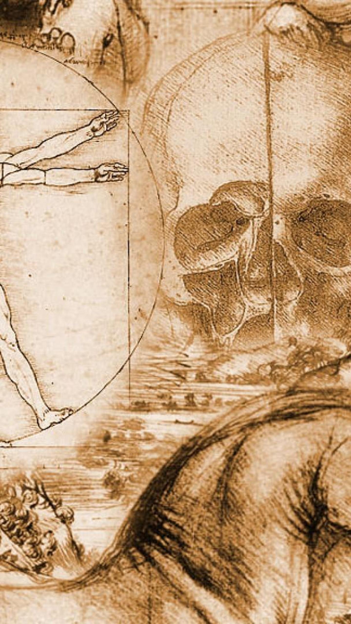 Leonardo Da Vinci Vitruvian Man HD Wallpaper Desktop