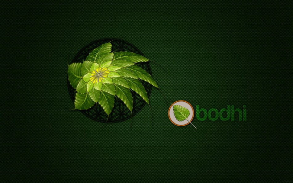 Wallpaper Bodhi Linux Green