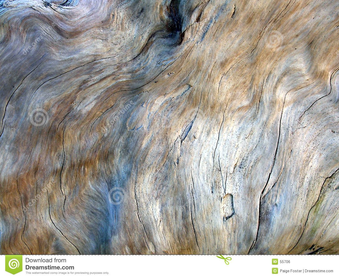 Driftwood Texture From Over Million High Quality