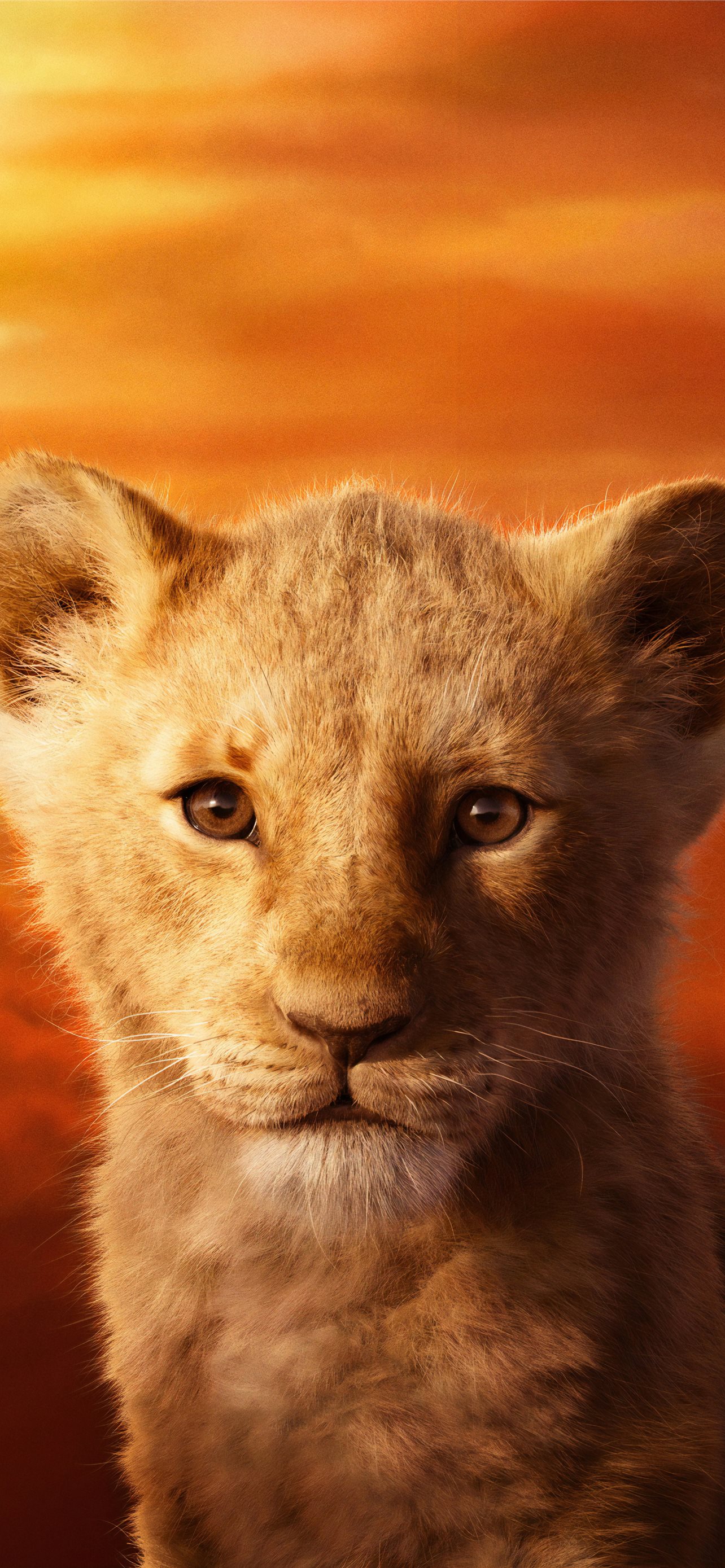 Jd Mccrary As Simba The Lion King 4k Sony Xpe iPhone