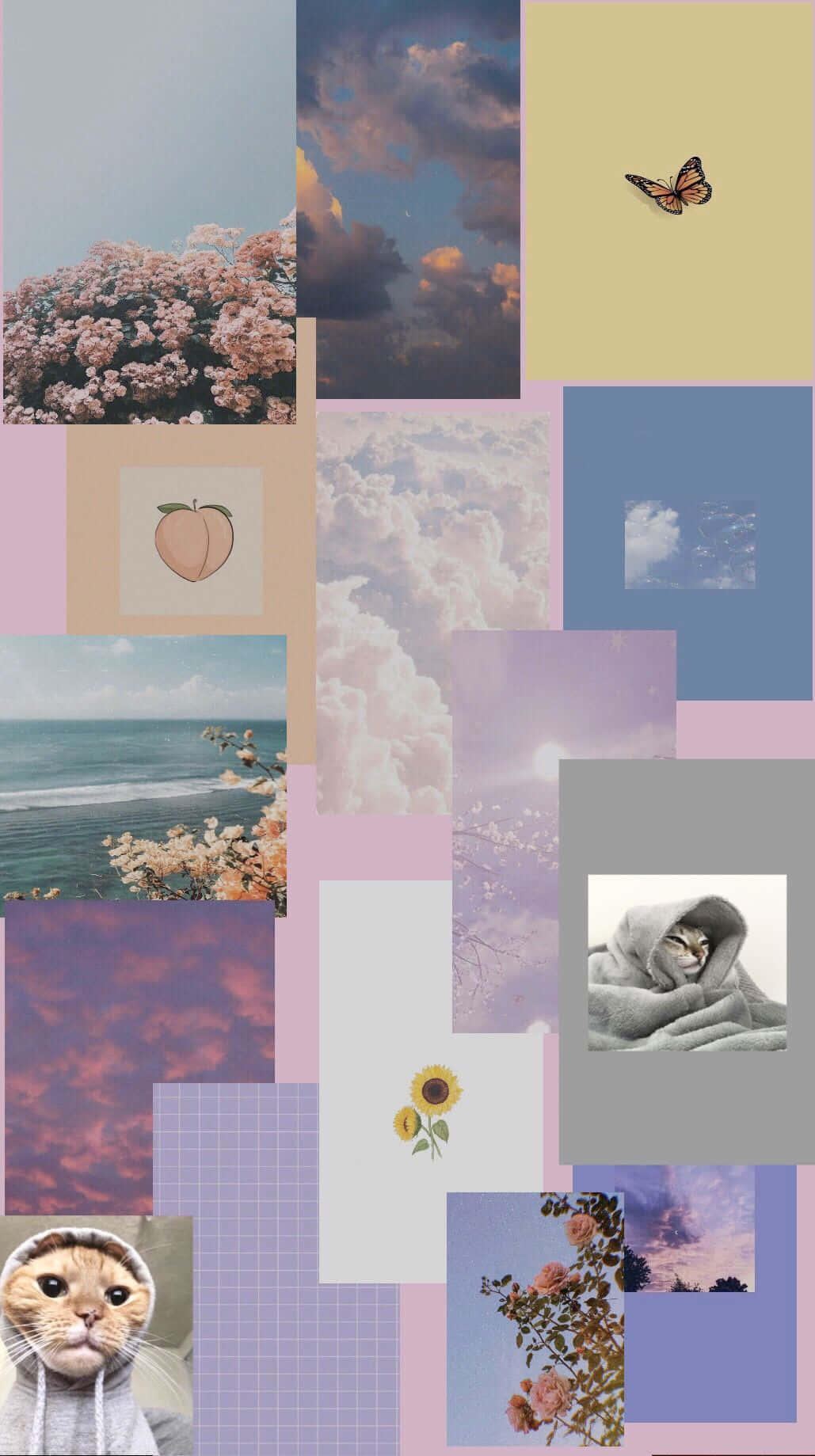Upgrade Your Wardrobe With The Hype Aesthetic Collection Wallpaper