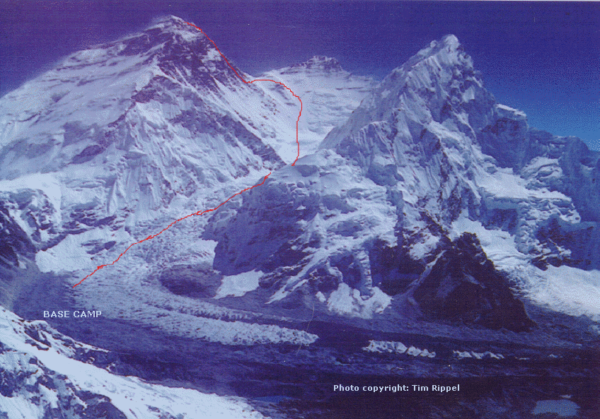 Everest Wallpaper Mount