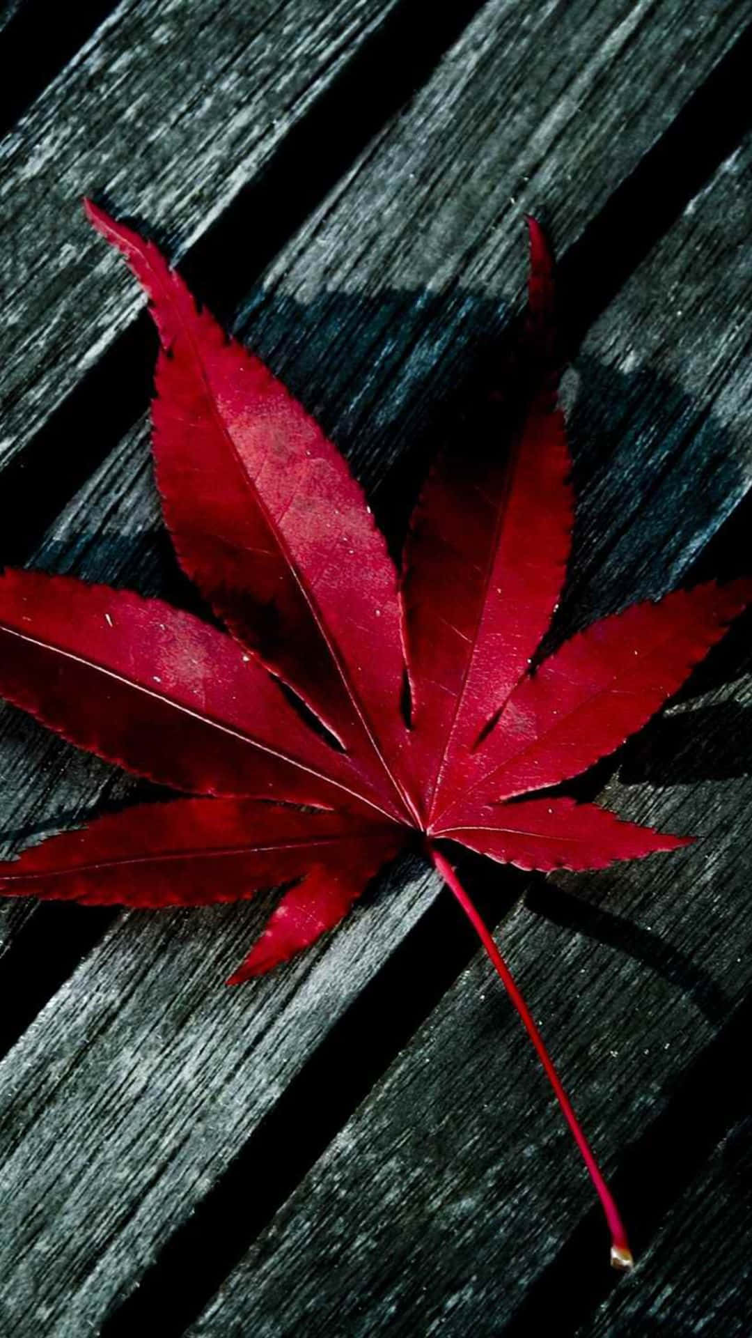 Red iPhone X Wallpaper
