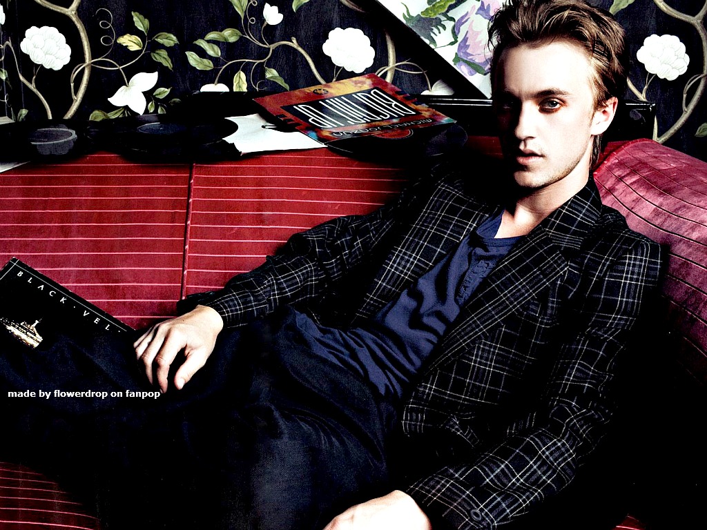 Tom Felton Wallpaper