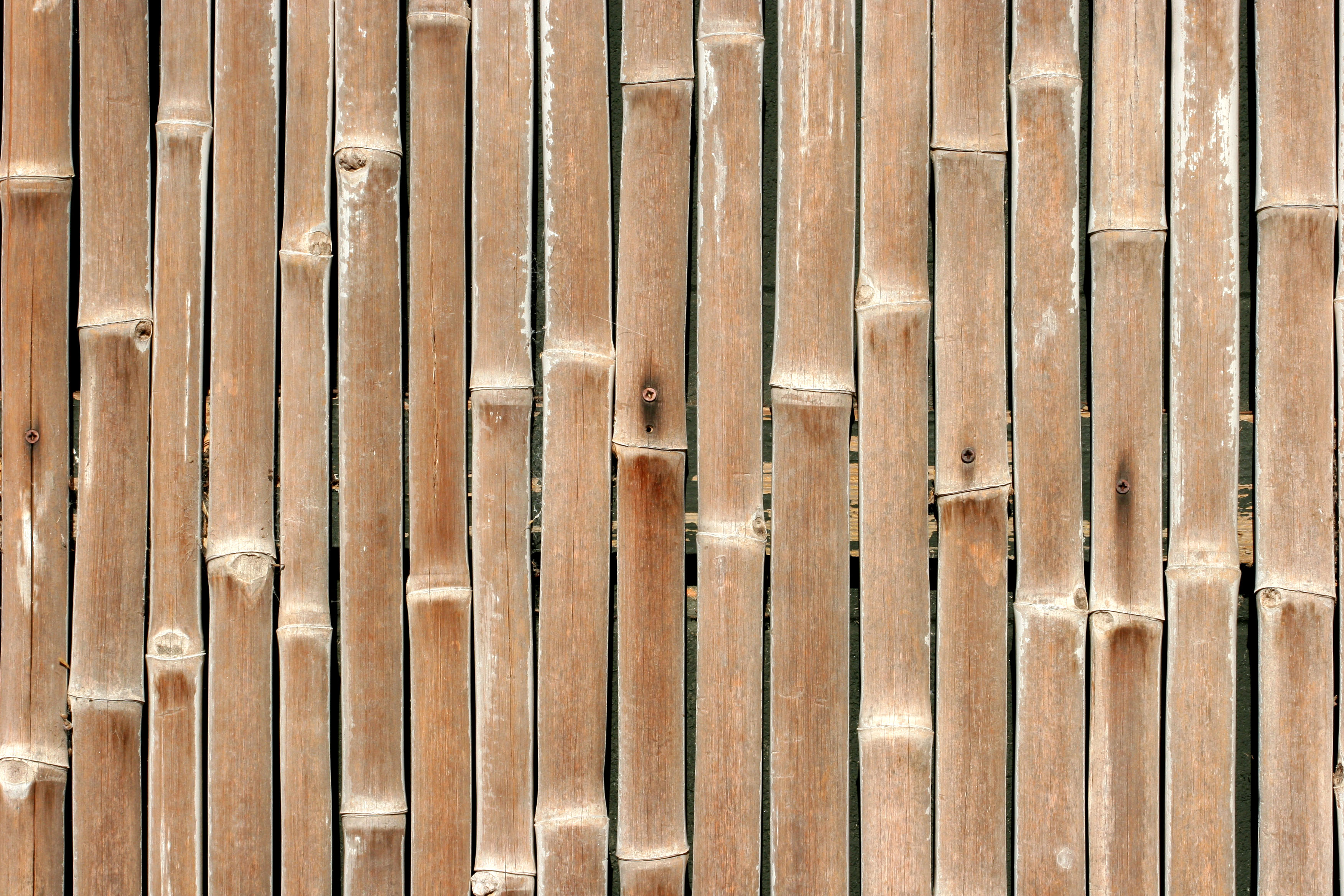 Bamboo Nature Textures Wood Wallpaper Hq