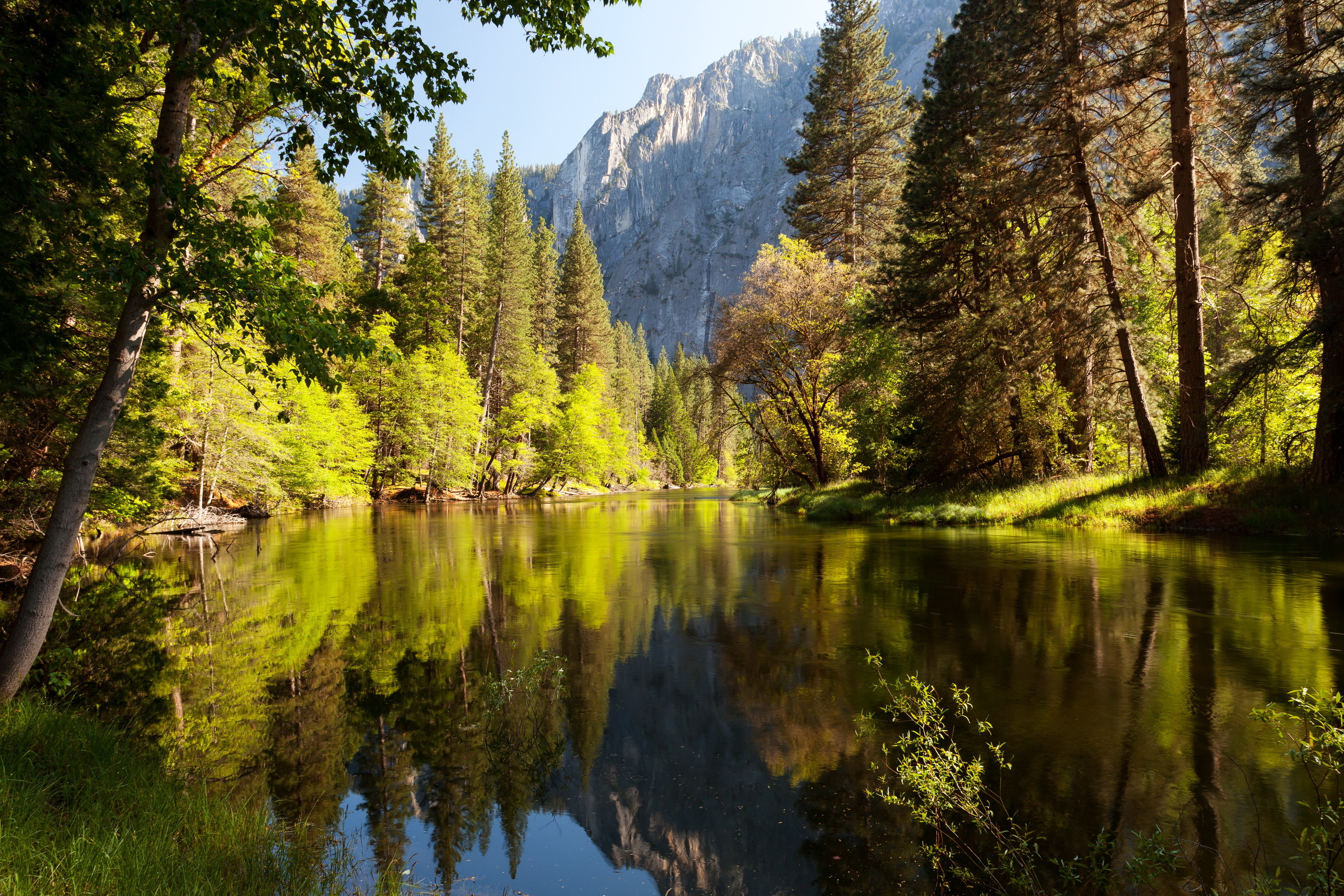 Lake Forest Nature Trees Wallpaper HD