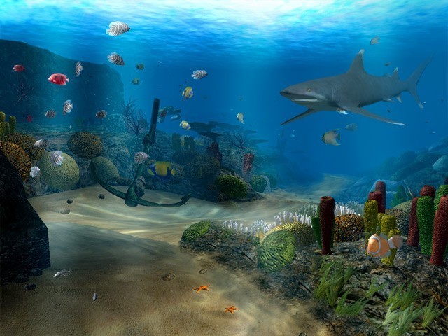 Screensaver Coral Reef Aquarium Animated Wallpaper