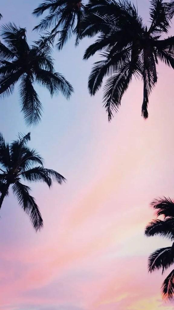 Free download 100 Summer IPhone Wallpapers That You Have To See