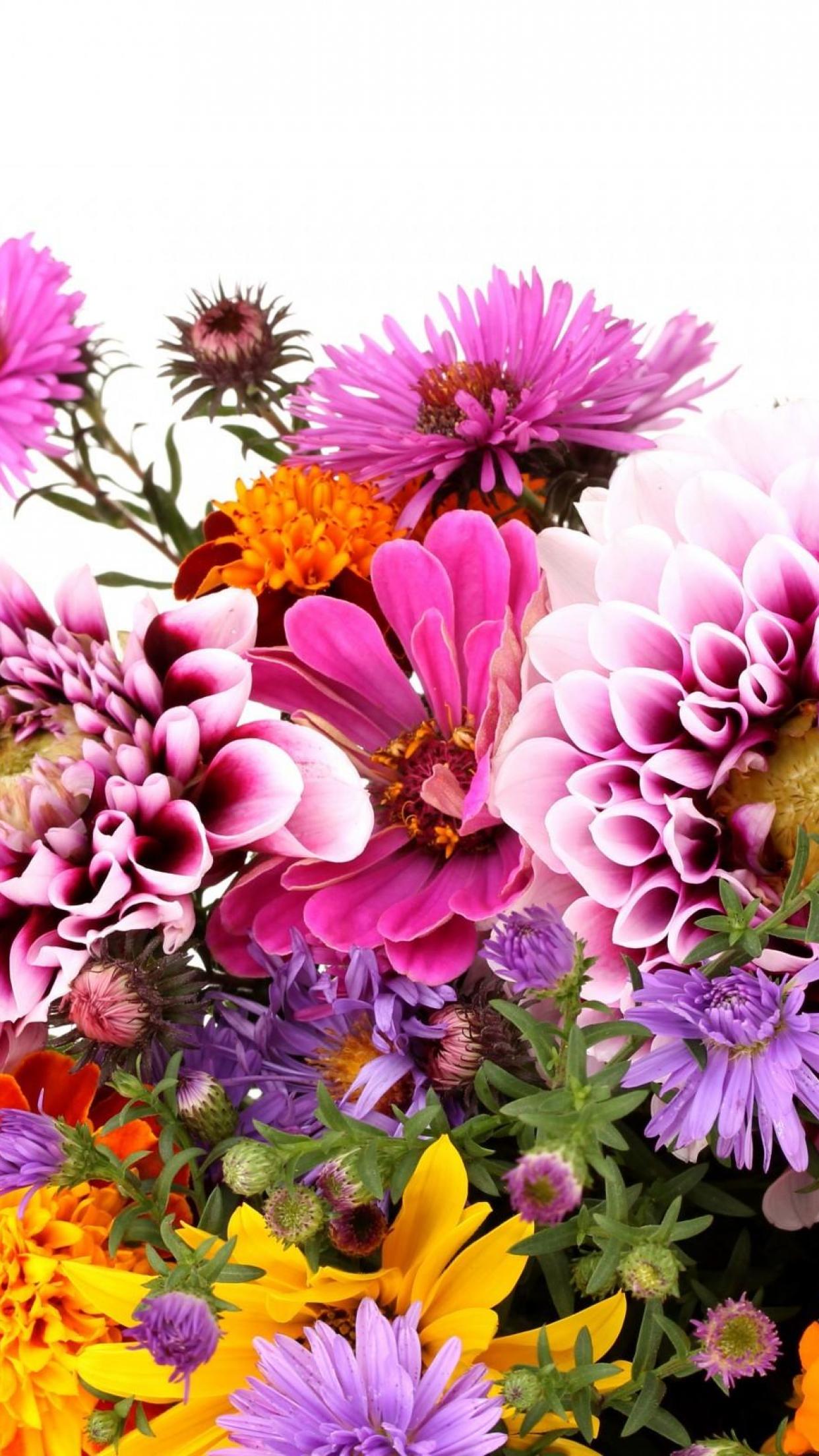 Vibrant Bouquet of Autumn Flowers on White Background