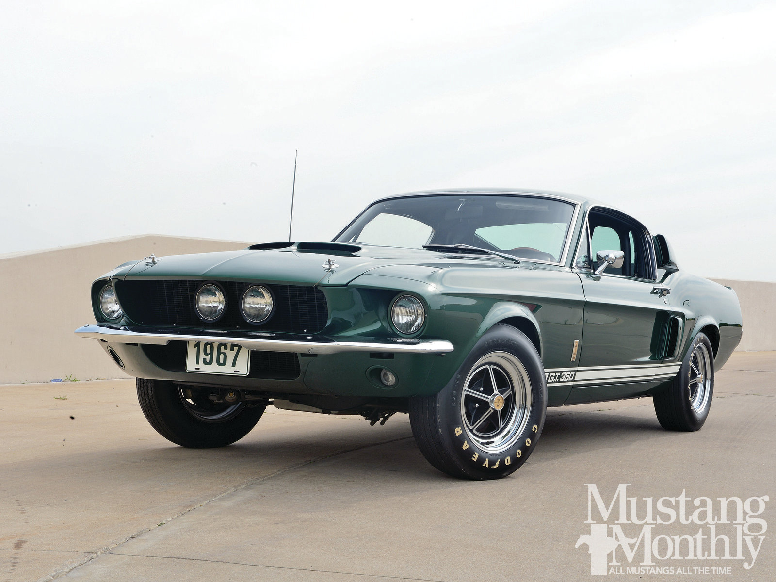 Shelby Mustang Wallpaper Ford