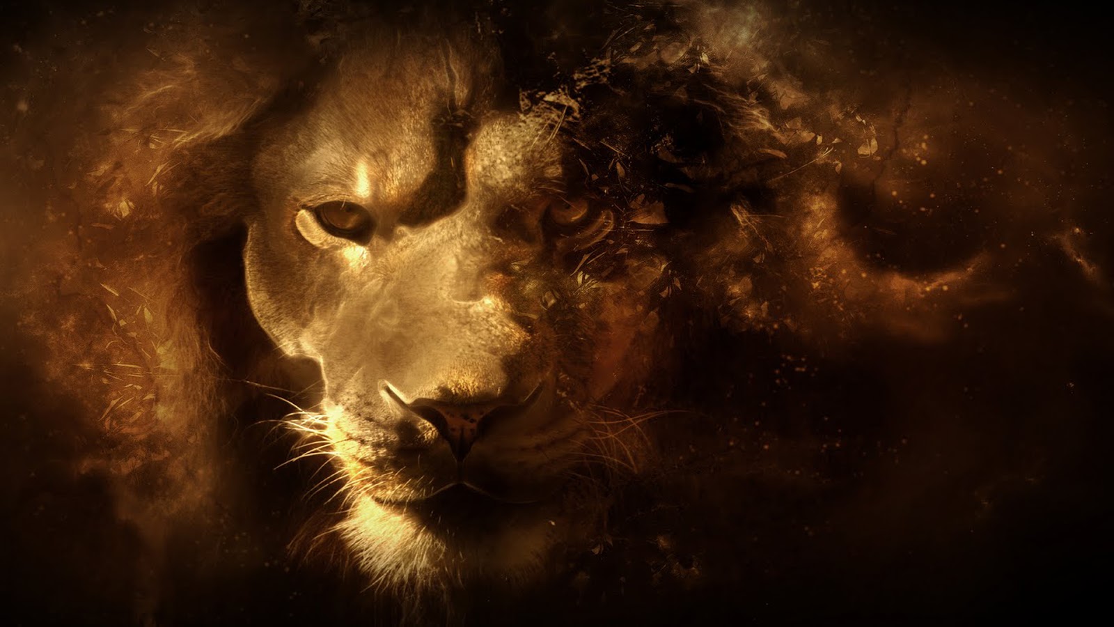 Lion Vector Art 1080p HD Wallpaper