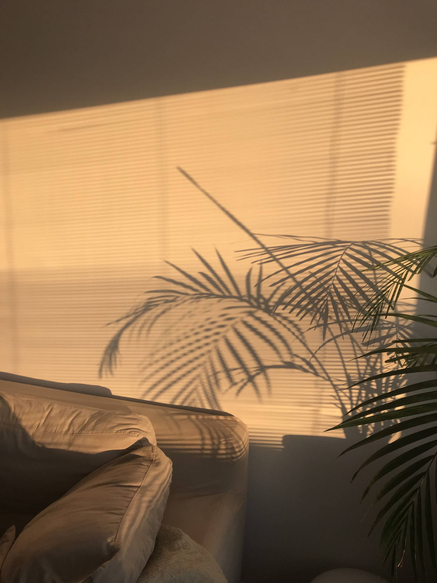 Cozy Living Room In Tan Aesthetic 79vfz4gxkntp9riy Wallpaper